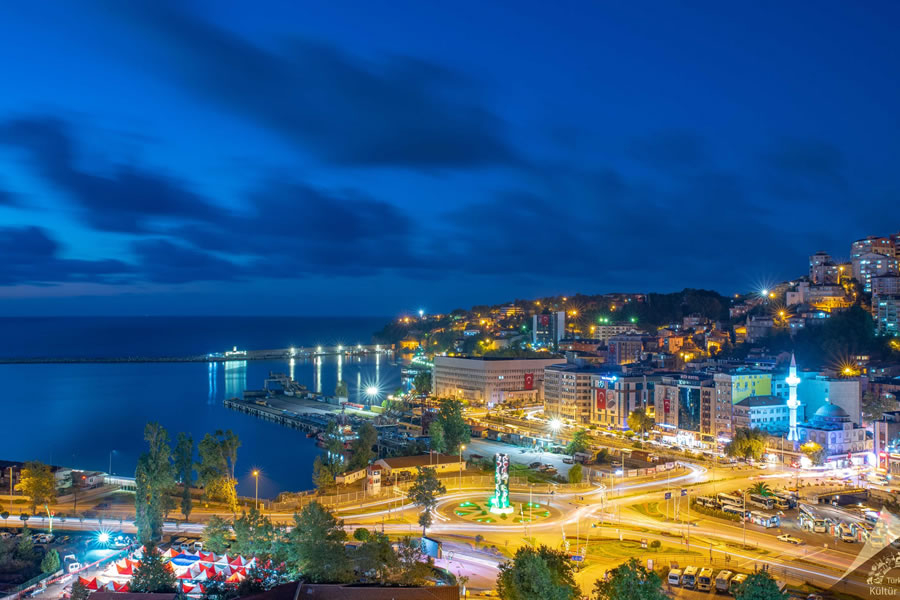 Zonguldak 2024'te En Popüler Diş Malzeme Markaları ve Tedarikçileri