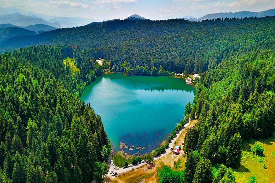 Artvin Ortodontik Tedavi Seçenekleri Diş Telleri ile Mükemmel Gülüş