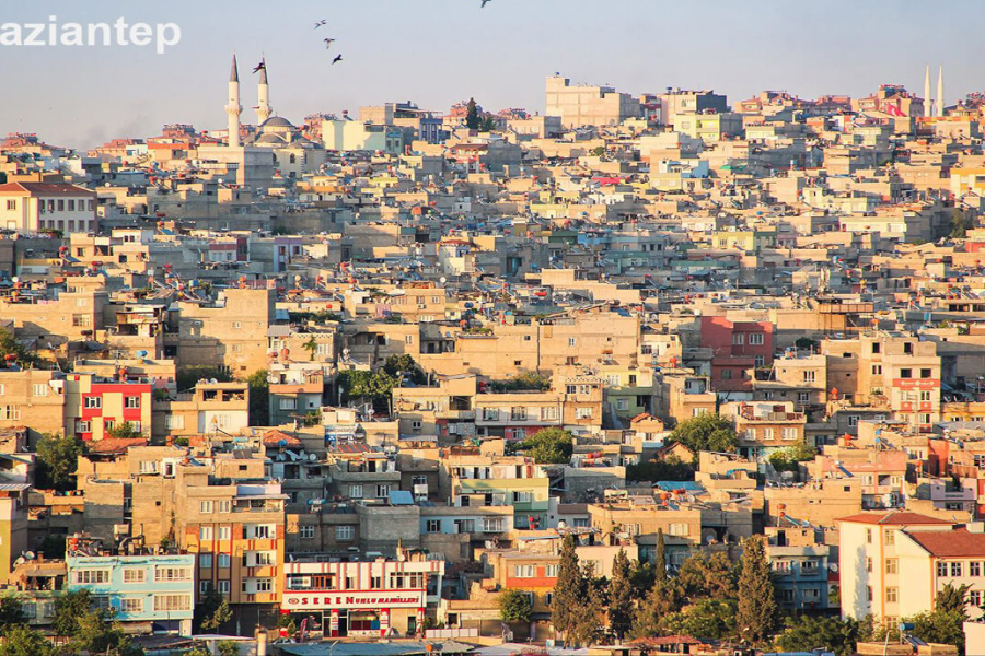 Gaziantep Ağız ve Diş Sağlığı Ürünleri Hangi Ürünler En Etkili?