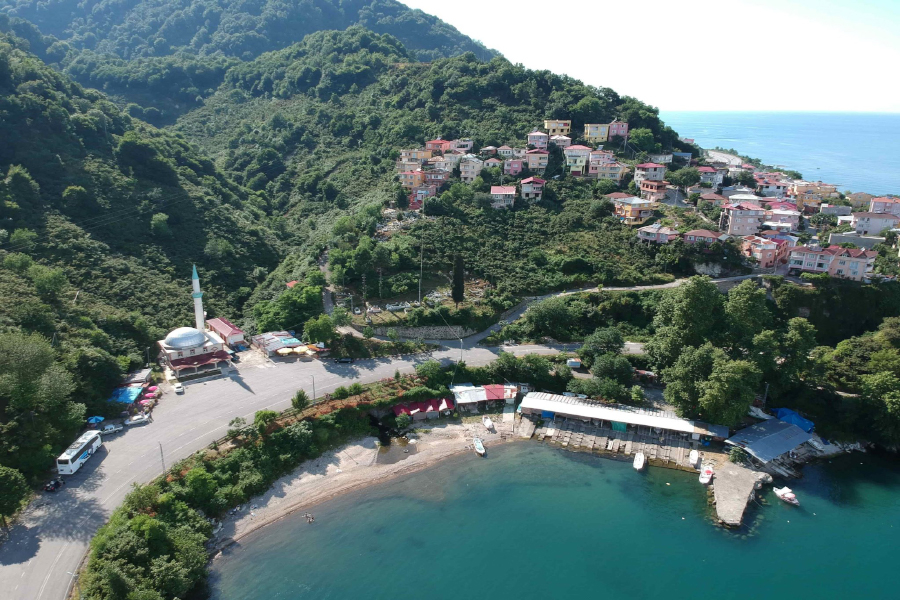 Giresun 2024'te En Popüler Diş Malzeme Markaları ve Tedarikçileri