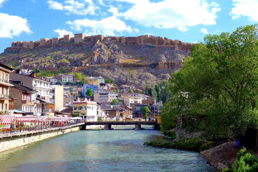 Bayburt En İyi Diş Fırçaları ve Diş Macunları Seçimi